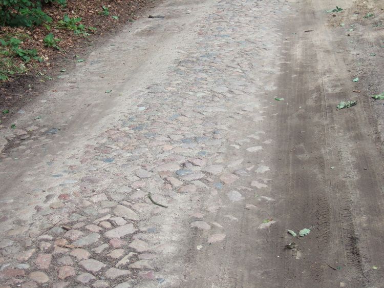 mit-dem-fahrrad-ans-nordkap.de fahrrad nordkap thumbs fahrrad-reise-tour--dscf1797-deutschland.jpg
