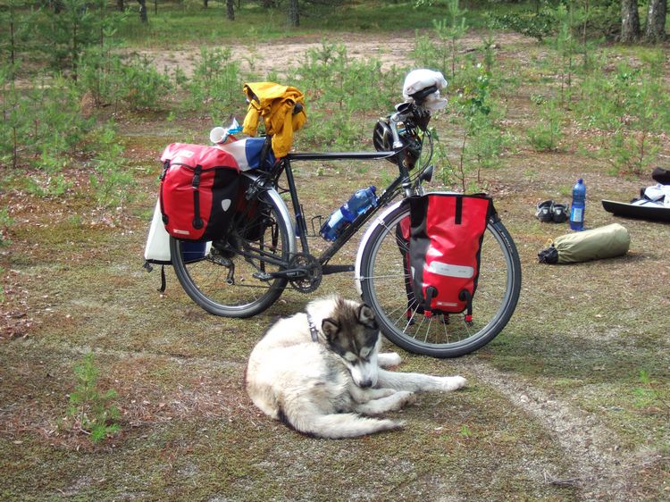 mit-dem-fahrrad-ans-nordkap.de fahrrad nordkap thumbs fahrrad-reise-tour--dscf1999-finnland.jpg