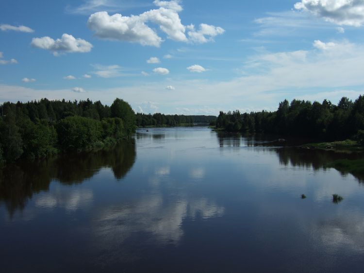 mit-dem-fahrrad-ans-nordkap.de fahrrad nordkap thumbs fahrrad-reise-tour--dscf2010-finnland.jpg