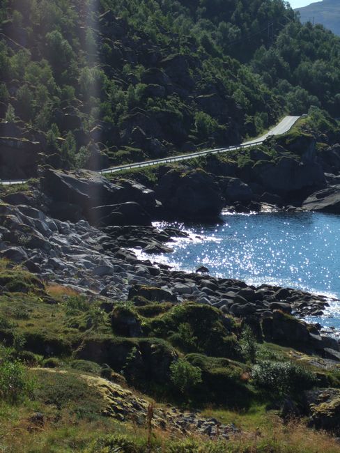 mit-dem-fahrrad-ans-nordkap.de fahrrad nordkap thumbs fahrrad-reise-tour--dscf2495-norwegen.jpg