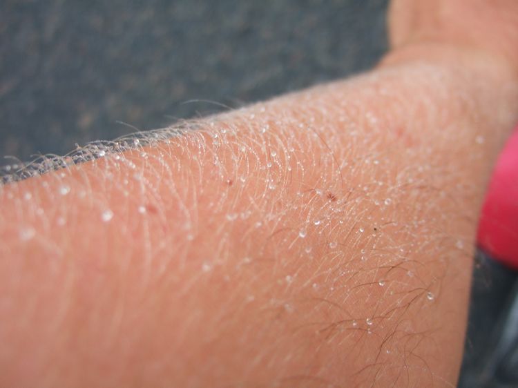 mit-dem-fahrrad-ans-nordkap.de fahrrad nordkap thumbs fahrrad-reise-tour--dscf3137-frankreich.jpg