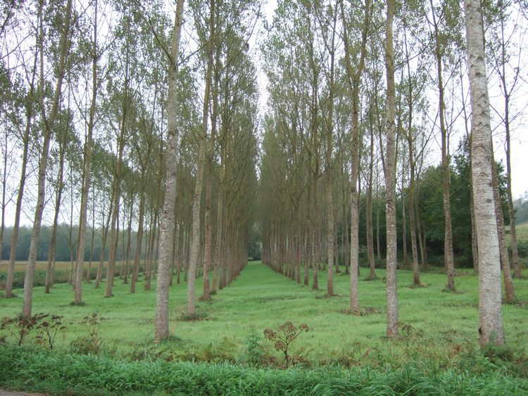 mit-dem-fahrrad-ans-nordkap.de fahrrad nordkap thumbs fahrrad-reise-tour--dscf3175-frankreich.jpg
