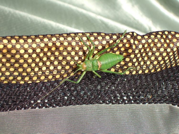 mit-dem-fahrrad-ans-nordkap.de fahrrad nordkap thumbs fahrrad-reise-tour--dscf3483-frankreich.jpg