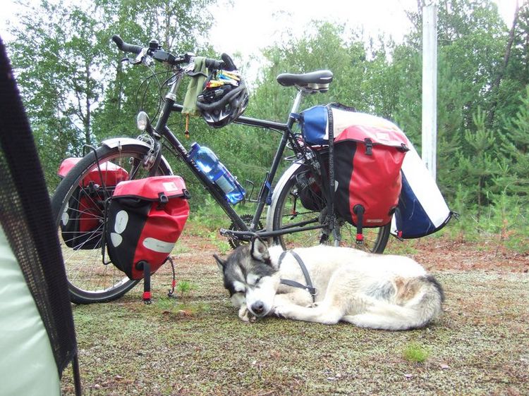 mit-dem-fahrrad-ans-nordkap.de fahrrad nordkap thumbs fahrrad-reise-tour-dscf1996-finnland.jpg