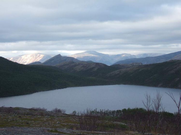 mit-dem-fahrrad-ans-nordkap.de fahrrad nordkap thumbs fahrrad-reise-tour-dscf2151-norwegen.jpg