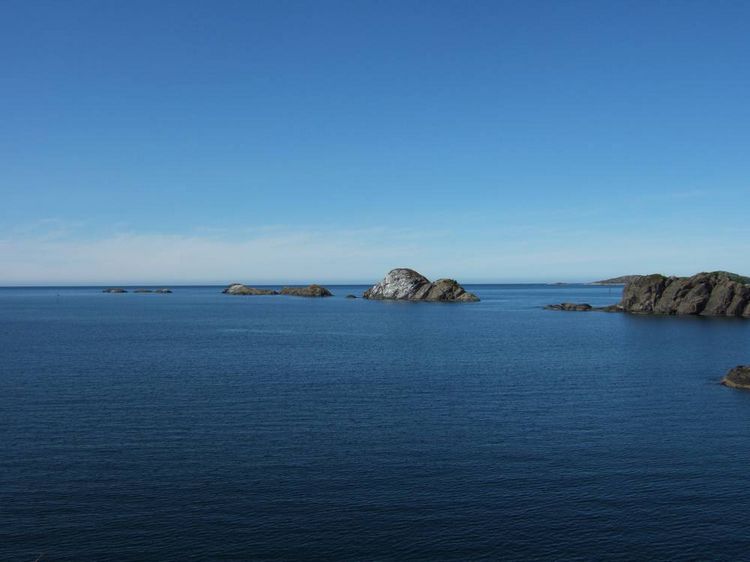 mit-dem-fahrrad-ans-nordkap.de fahrrad nordkap thumbs fahrrad-reise-tour-dscf2494-norwegen.jpg