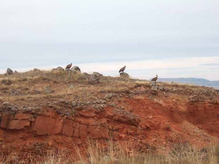 mit-dem-fahrrad-ans-nordkap.de fahrrad nordkap thumbs fahrrad-reise-tour-dscf3531-spanien.jpg