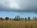 mit-dem-fahrrad-ans-nordkap.de fahrrad nordkap thumbs fahrrad-reise-tour--dscf1837-schweden.jpg