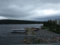 mit-dem-fahrrad-ans-nordkap.de fahrrad nordkap thumbs fahrrad-reise-tour--dscf2047-finnland.jpg