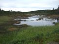 mit-dem-fahrrad-ans-nordkap.de fahrrad nordkap thumbs fahrrad-reise-tour--dscf2092-finnland.jpg