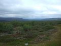 mit-dem-fahrrad-ans-nordkap.de fahrrad nordkap thumbs fahrrad-reise-tour--dscf2132-norwegen.jpg