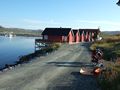 mit-dem-fahrrad-ans-nordkap.de fahrrad nordkap thumbs fahrrad-reise-tour--dscf2251-norwegen.jpg