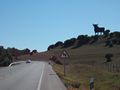 mit-dem-fahrrad-ans-nordkap.de fahrrad nordkap thumbs fahrrad-reise-tour--dscf3694-spanien.jpg