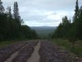 mit-dem-fahrrad-ans-nordkap.de fahrrad nordkap thumbs fahrrad-reise-tour-dscf2078-finnland.jpg